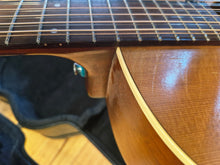 Load image into Gallery viewer, Coastline S12+ Cedar