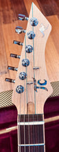 Load image into Gallery viewer, TC Guitars - Lizard Dreaming