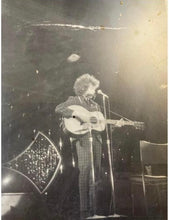 Load image into Gallery viewer, Joe Pall Guitar