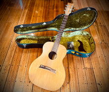 Load image into Gallery viewer, Joe Pall Guitar