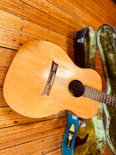 Load image into Gallery viewer, Joe Pall Guitar