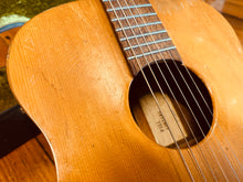 Load image into Gallery viewer, Joe Pall Guitar