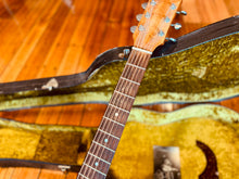 Load image into Gallery viewer, Joe Pall Guitar