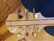 Load image into Gallery viewer, Epiphone Sheraton - 1998
