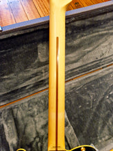 Load image into Gallery viewer, Fender Richie Kotzen Telecaster
