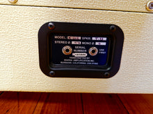 Load image into Gallery viewer, Rivera Rake Head and Cabinet 300WATTS
