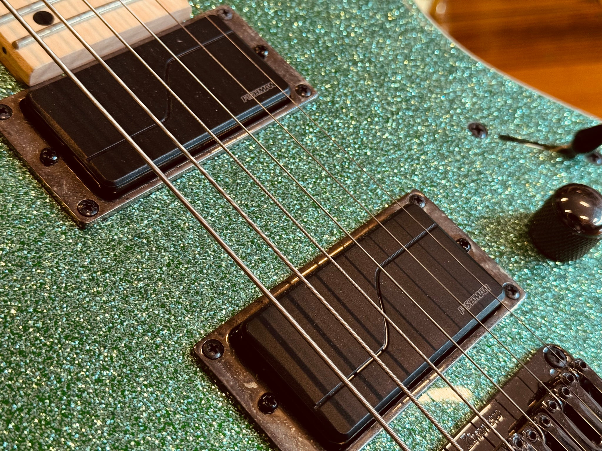 IBANEZ RG421MSP – Classic Guitars and Amps
