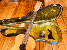 Load image into Gallery viewer, Joe Pall Guitar
