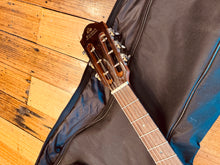 Load image into Gallery viewer, Gilman GPA10E
