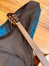 Load image into Gallery viewer, Gilman GPA10E
