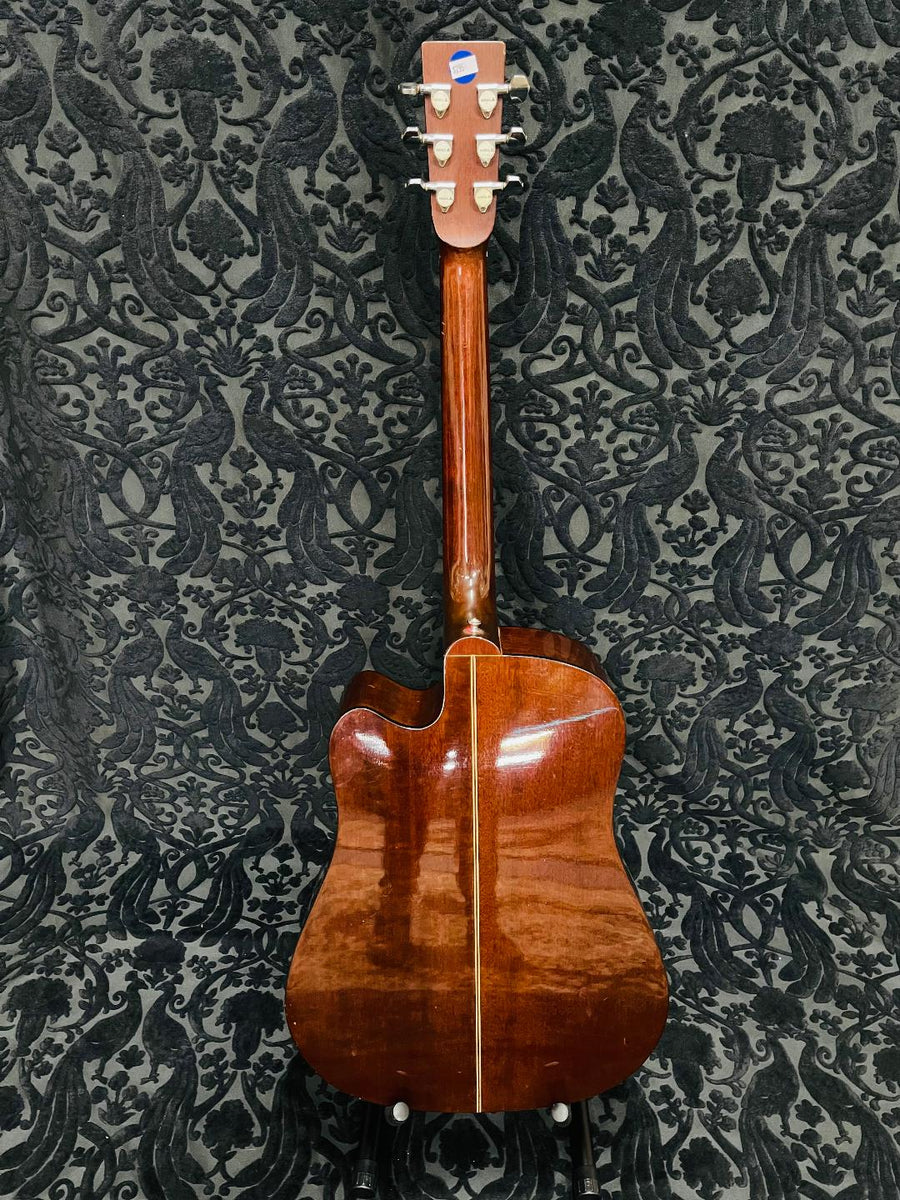 Samick SW210CE – Classic Guitars and Amps